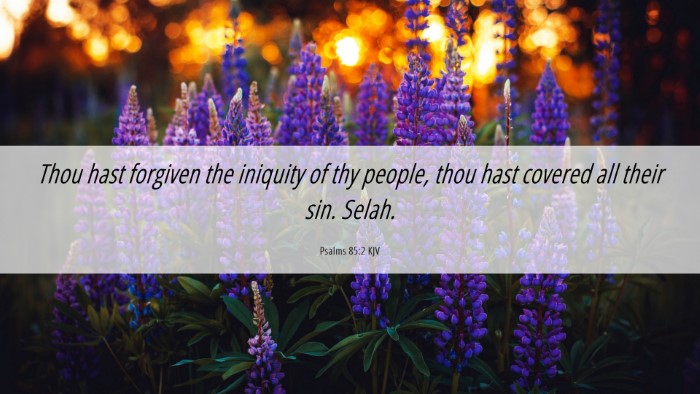 Picture 06 - Psalms 85:2 KJV Desktop Wallpaper - Thou hast forgiven the iniquity of thy people, - Desktop Bible Verse Wallpaper