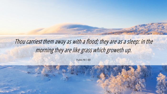 Picture 06 - Psalms 90:5 KJV Desktop Wallpaper - Thou carriest them away as with a flood; they are - Desktop Bible Verse Wallpaper