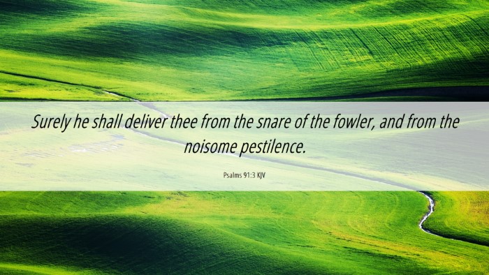 Picture 06 - Psalms 91:3 KJV Desktop Wallpaper - Surely he shall deliver thee from the snare of - Desktop Bible Verse Wallpaper