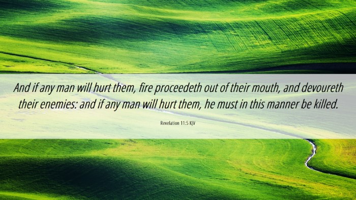 Picture 06 - Revelation 11:5 KJV Desktop Wallpaper - And if any man will hurt them, fire proceedeth - Desktop Bible Verse Wallpaper