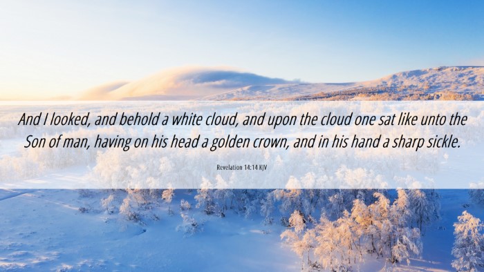Picture 06 - Revelation 14:14 KJV Desktop Wallpaper - And I looked, and behold a white cloud, and upon - Desktop Bible Verse Wallpaper