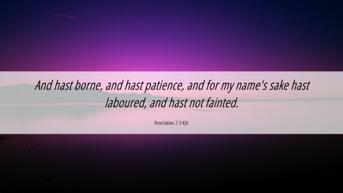 Picture 06 - Revelation 2:3 KJV Desktop Wallpaper - And hast borne, and hast patience, and for my - Desktop Bible Verse Wallpaper