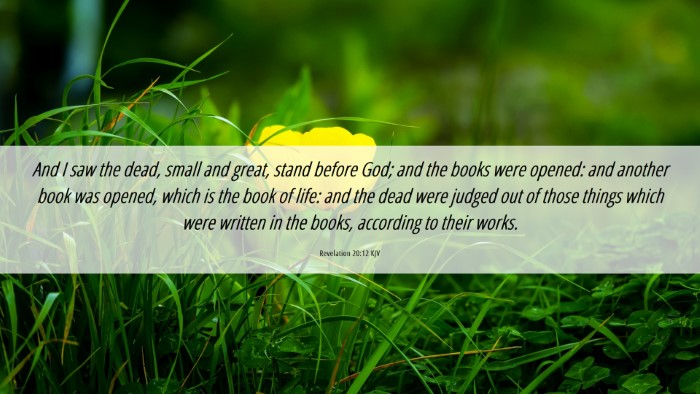 Picture 06 - Revelation 20:12 KJV Desktop Wallpaper - And I saw the dead, small and great, stand before - Desktop Bible Verse Wallpaper