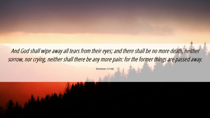 Picture 06 - Revelation 21:4 KJV Desktop Wallpaper - And God shall wipe away all tears from their - Desktop Bible Verse Wallpaper