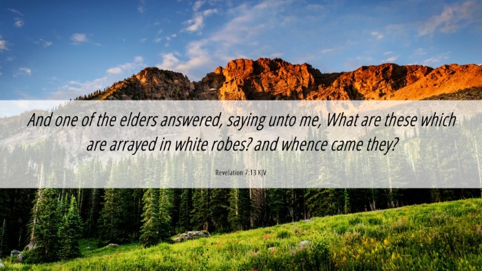 Picture 06 - Revelation 7:13 KJV Desktop Wallpaper - And one of the elders answered, saying unto me, - Desktop Bible Verse Wallpaper