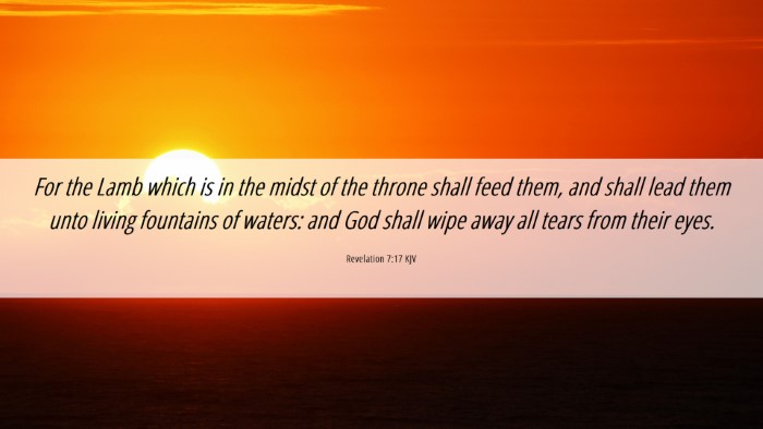 Picture 06 - Revelation 7:17 KJV Desktop Wallpaper - For the Lamb which is in the midst of the throne - Desktop Bible Verse Wallpaper