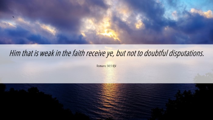 Picture 06 - Romans 14:1 KJV Desktop Wallpaper - Him that is weak in the faith receive ye, but not - Desktop Bible Verse Wallpaper