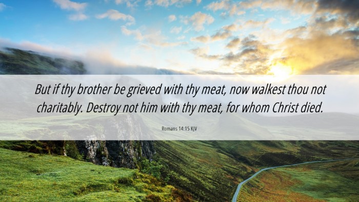 Picture 06 - Romans 14:15 KJV Desktop Wallpaper - But if thy brother be grieved with thy meat, now - Desktop Bible Verse Wallpaper