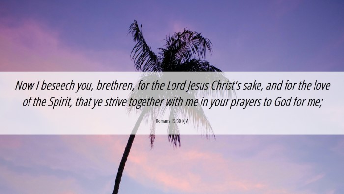 Picture 06 - Romans 15:30 KJV Desktop Wallpaper - Now I beseech you, brethren, for the Lord Jesus - Desktop Bible Verse Wallpaper