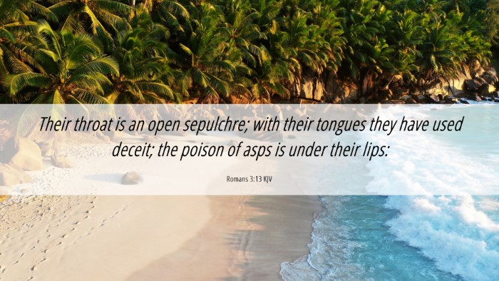 Picture 06 - Romans 3:13 KJV Desktop Wallpaper - Their throat is an open sepulchre; with their - Desktop Bible Verse Wallpaper