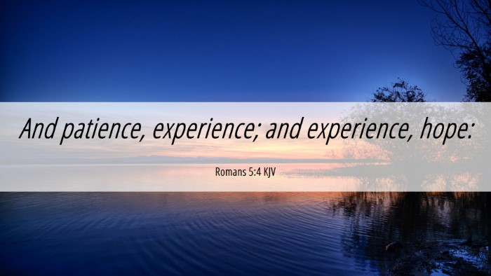 Picture 06 - Romans 5:4 KJV Desktop Wallpaper - And patience, experience; and experience, - Desktop Bible Verse Wallpaper