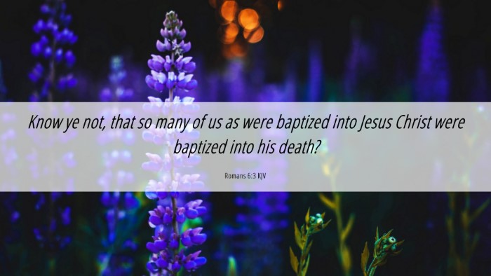 Picture 06 - Romans 6:3 KJV Desktop Wallpaper - Know ye not, that so many of us as were baptized - Desktop Bible Verse Wallpaper