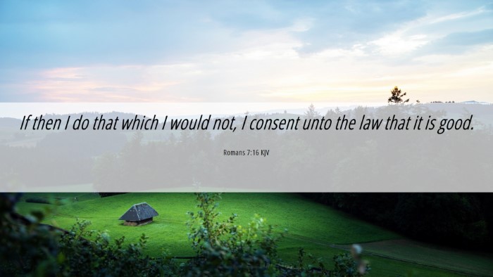 Picture 06 - Romans 7:16 KJV Desktop Wallpaper - If then I do that which I would not, I consent - Desktop Bible Verse Wallpaper