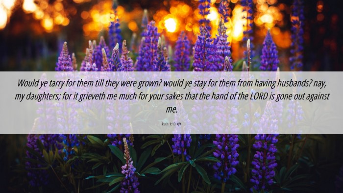 Picture 06 - Ruth 1:13 KJV Desktop Wallpaper - Would ye tarry for them till they were grown? - Desktop Bible Verse Wallpaper