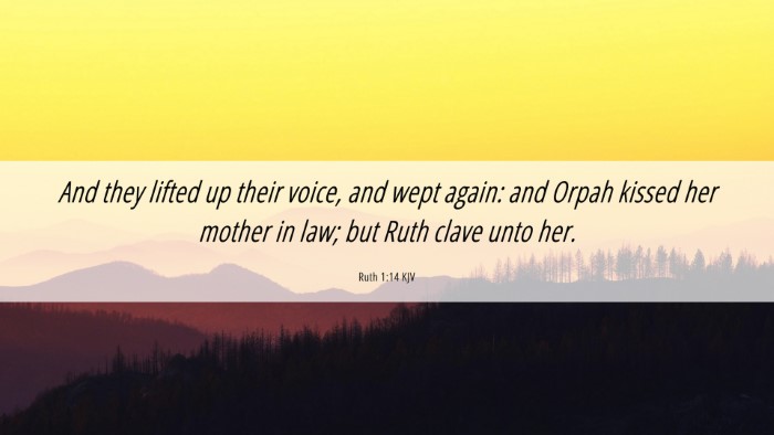 Picture 06 - Ruth 1:14 KJV Desktop Wallpaper - And they lifted up their voice, and wept again: - Desktop Bible Verse Wallpaper