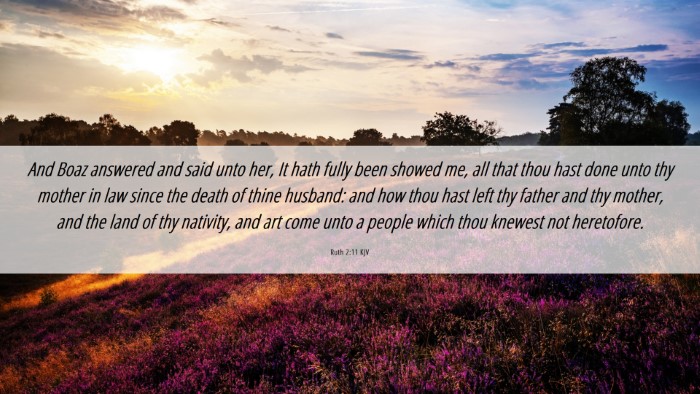 Picture 06 - Ruth 2:11 KJV Desktop Wallpaper - And Boaz answered and said unto her, It hath - Desktop Bible Verse Wallpaper
