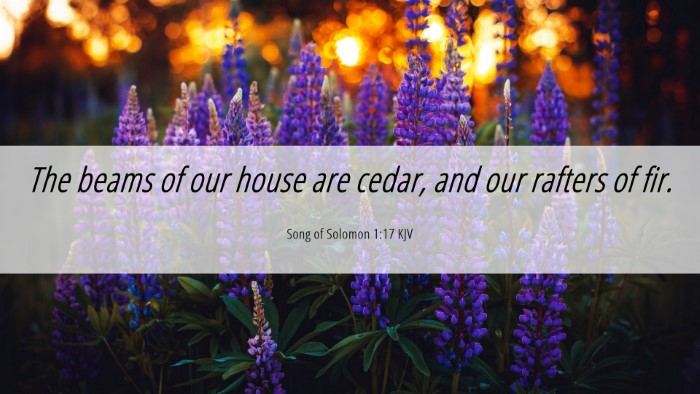 Picture 06 - Song of Solomon 1:17 KJV Desktop Wallpaper - The beams of our house are cedar, and our rafters - Desktop Bible Verse Wallpaper