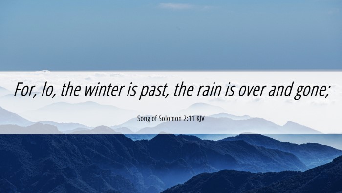 Picture 06 - Song of Solomon 2:11 KJV Desktop Wallpaper - For, lo, the winter is past, the rain is over and - Desktop Bible Verse Wallpaper