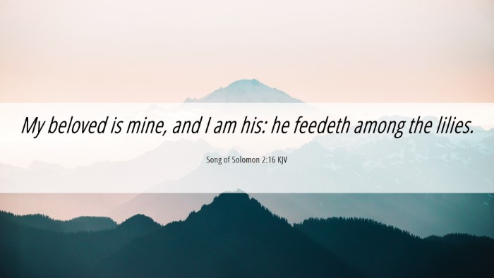 Picture 06 - Song of Solomon 2:16 KJV Desktop Wallpaper - My beloved is mine, and I am his: he feedeth - Desktop Bible Verse Wallpaper