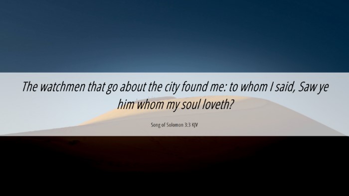 Picture 06 - Song of Solomon 3:3 KJV Desktop Wallpaper - The watchmen that go about the city found me: to - Desktop Bible Verse Wallpaper