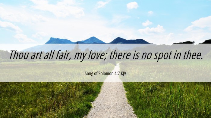Picture 06 - Song of Solomon 4:7 KJV Desktop Wallpaper - Thou art all fair, my love; there is no spot in - Desktop Bible Verse Wallpaper