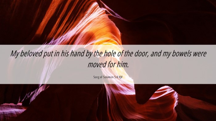 Picture 06 - Song of Solomon 5:4 KJV Desktop Wallpaper - My beloved put in his hand by the hole of the - Desktop Bible Verse Wallpaper