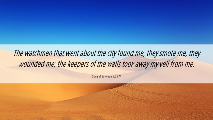 Picture 06 - Song of Solomon 5:7 KJV Desktop Wallpaper - The watchmen that went about the city found me, - Desktop Bible Verse Wallpaper