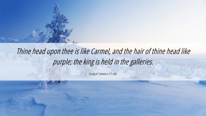 Picture 06 - Song of Solomon 7:5 KJV Desktop Wallpaper - Thine head upon thee is like Carmel, and the hair - Desktop Bible Verse Wallpaper