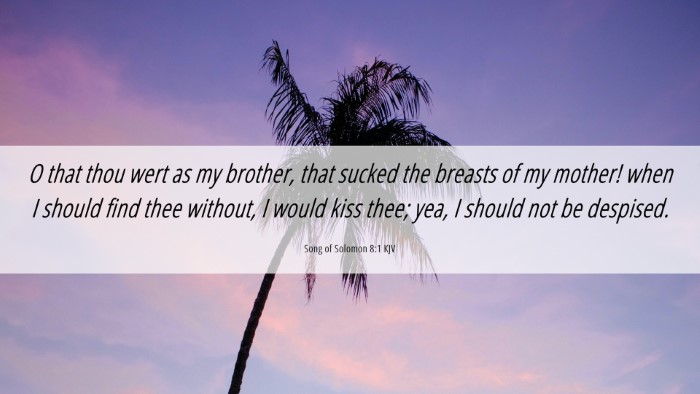 Picture 06 - Song of Solomon 8:1 KJV Desktop Wallpaper - O that thou wert as my brother, that sucked the - Desktop Bible Verse Wallpaper