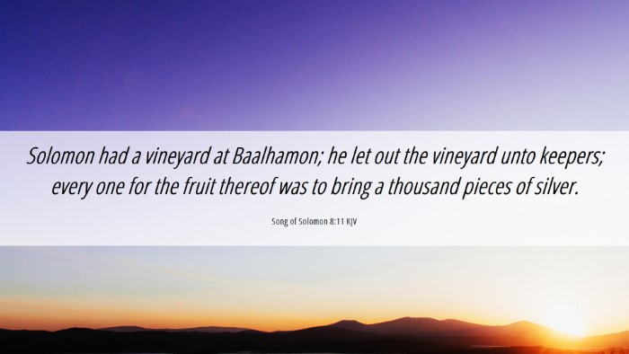 Picture 06 - Song of Solomon 8:11 KJV Desktop Wallpaper - Solomon had a vineyard at Baalhamon; he let out - Desktop Bible Verse Wallpaper