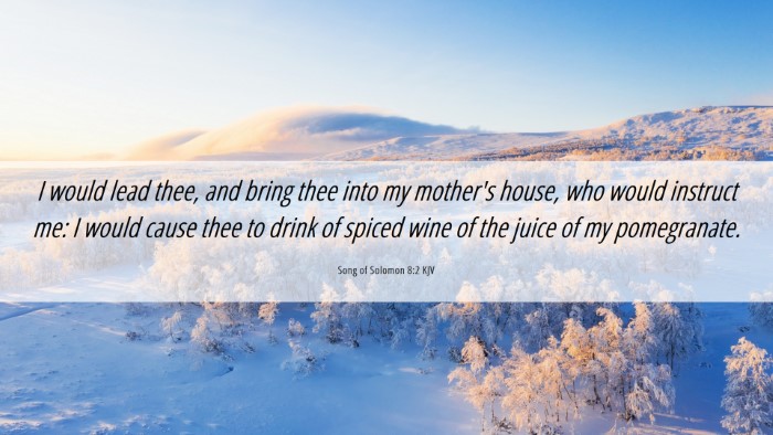 Picture 06 - Song of Solomon 8:2 KJV Desktop Wallpaper - I would lead thee, and bring thee into my - Desktop Bible Verse Wallpaper