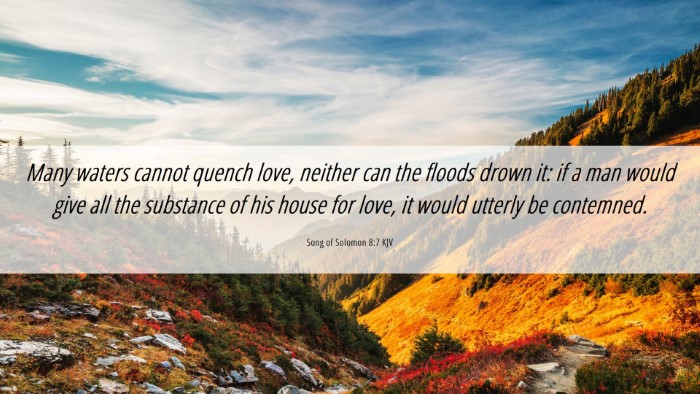 Picture 06 - Song of Solomon 8:7 KJV Desktop Wallpaper - Many waters cannot quench love, neither can the - Desktop Bible Verse Wallpaper