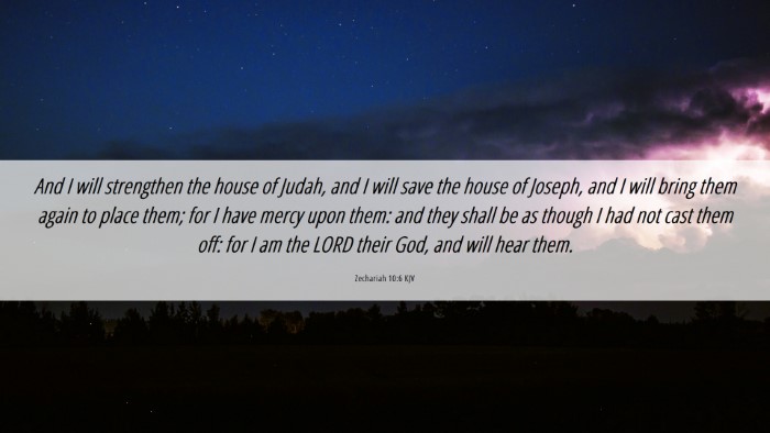 Picture 06 - Zechariah 10:6 KJV Desktop Wallpaper - And I will strengthen the house of Judah, and I - Desktop Bible Verse Wallpaper