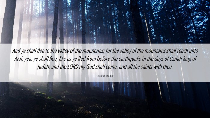 Picture 06 - Zechariah 14:5 KJV Desktop Wallpaper - And ye shall flee to the valley of the mountains; - Desktop Bible Verse Wallpaper