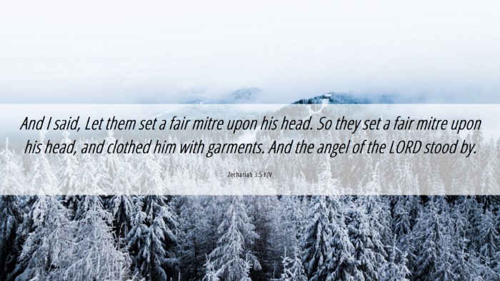 Picture 06 - Zechariah 3:5 KJV Desktop Wallpaper - And I said, Let them set a fair mitre upon his - Desktop Bible Verse Wallpaper