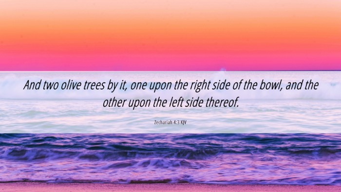 Picture 06 - Zechariah 4:3 KJV Desktop Wallpaper - And two olive trees by it, one upon the right - Desktop Bible Verse Wallpaper
