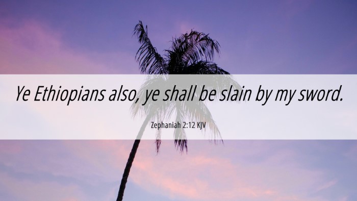 Picture 06 - Zephaniah 2:12 KJV Desktop Wallpaper - Ye Ethiopians also, ye shall be slain by my - Desktop Bible Verse Wallpaper