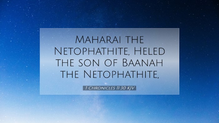 Picture 07 - 1 Chronicles 11:30 KJV Desktop Wallpaper - Maharai the Netophathite, Heled the son of Baanah - Desktop Bible Verse Wallpaper