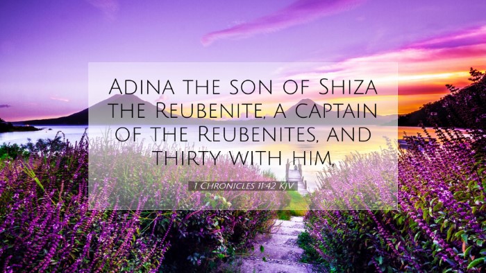 Picture 07 - 1 Chronicles 11:42 KJV Desktop Wallpaper - Adina the son of Shiza the Reubenite, a captain - Desktop Bible Verse Wallpaper
