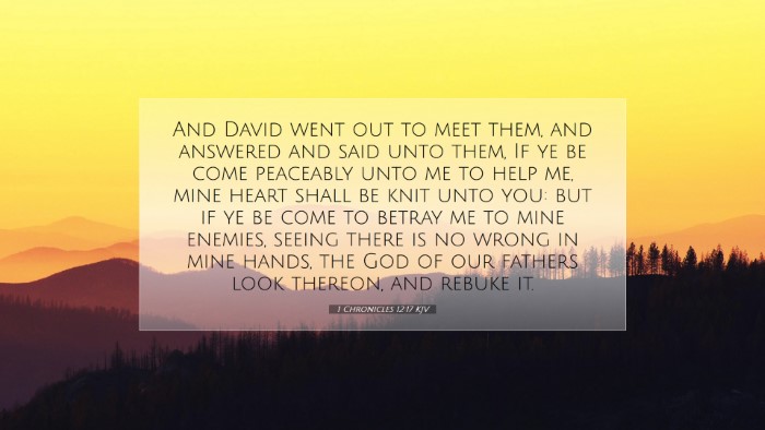 Picture 07 - 1 Chronicles 12:17 KJV Desktop Wallpaper - And David went out to meet them, and answered and - Desktop Bible Verse Wallpaper