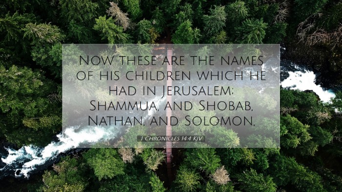 Picture 07 - 1 Chronicles 14:4 KJV Desktop Wallpaper - Now these are the names of his children which he - Desktop Bible Verse Wallpaper