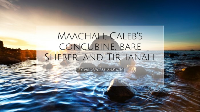 Picture 07 - 1 Chronicles 2:48 KJV Desktop Wallpaper - Maachah, Caleb's concubine, bare Sheber, and - Desktop Bible Verse Wallpaper
