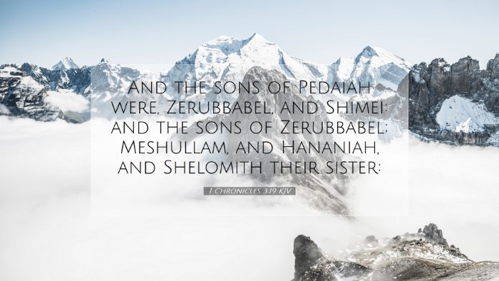 Picture 07 - 1 Chronicles 3:19 KJV Desktop Wallpaper - And the sons of Pedaiah were, Zerubbabel, and - Desktop Bible Verse Wallpaper