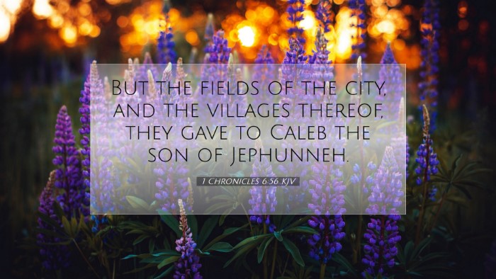 Picture 07 - 1 Chronicles 6:56 KJV Desktop Wallpaper - But the fields of the city, and the villages - Desktop Bible Verse Wallpaper