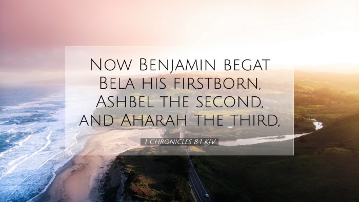 Picture 07 - 1 Chronicles 8:1 KJV Desktop Wallpaper - Now Benjamin begat Bela his firstborn, Ashbel the - Desktop Bible Verse Wallpaper