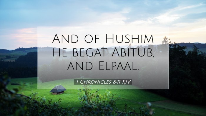 Picture 07 - 1 Chronicles 8:11 KJV Desktop Wallpaper - And of Hushim he begat Abitub, and - Desktop Bible Verse Wallpaper