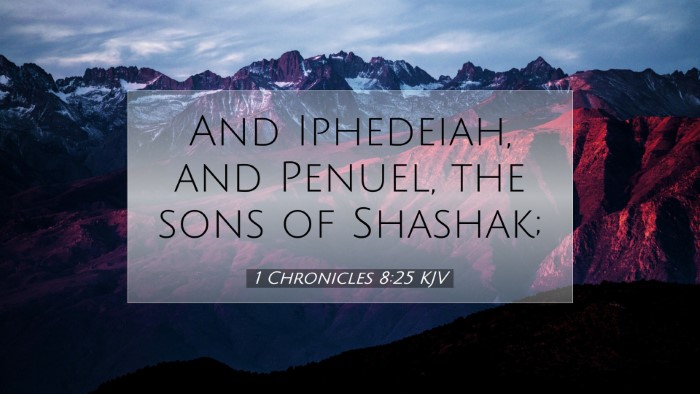 Picture 07 - 1 Chronicles 8:25 KJV Desktop Wallpaper - And Iphedeiah, and Penuel, the sons of - Desktop Bible Verse Wallpaper