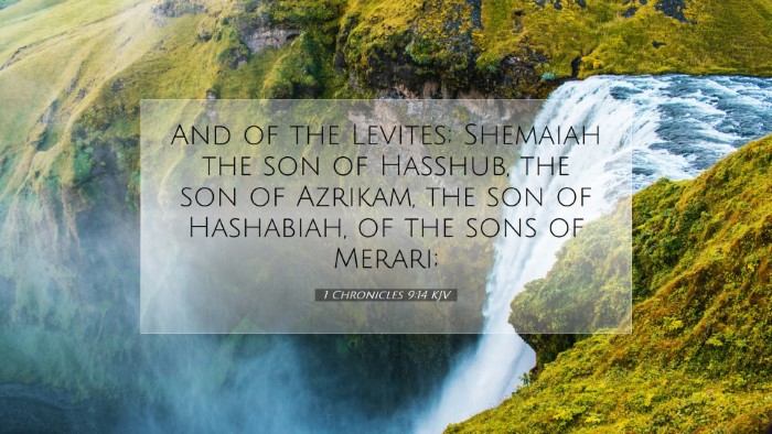 Picture 07 - 1 Chronicles 9:14 KJV Desktop Wallpaper - And of the Levites; Shemaiah the son of Hasshub, - Desktop Bible Verse Wallpaper