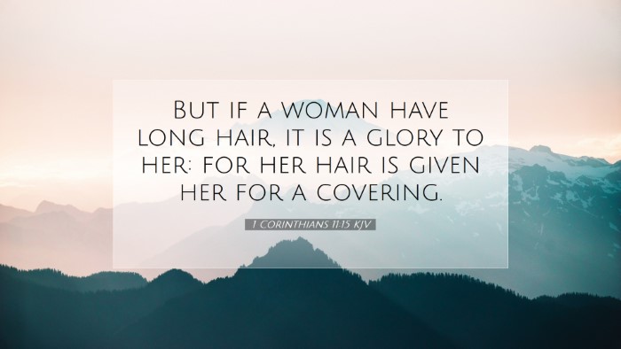 Picture 07 - 1 Corinthians 11:15 KJV Desktop Wallpaper - But if a woman have long hair, it is a glory to - Desktop Bible Verse Wallpaper