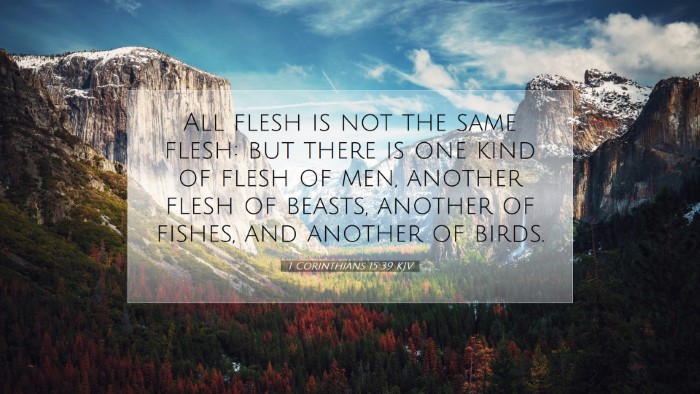 Picture 07 - 1 Corinthians 15:39 KJV Desktop Wallpaper - All flesh is not the same flesh: but there is one - Desktop Bible Verse Wallpaper